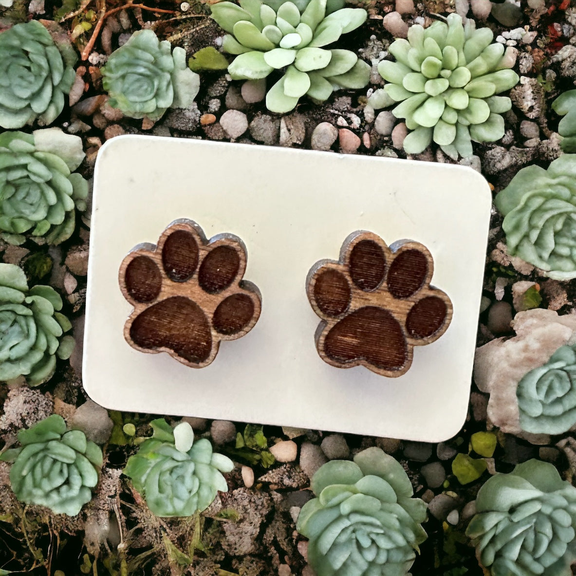 Brown Puppy Paws